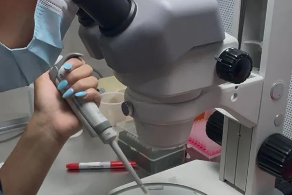 Trabajo en laboratorio
