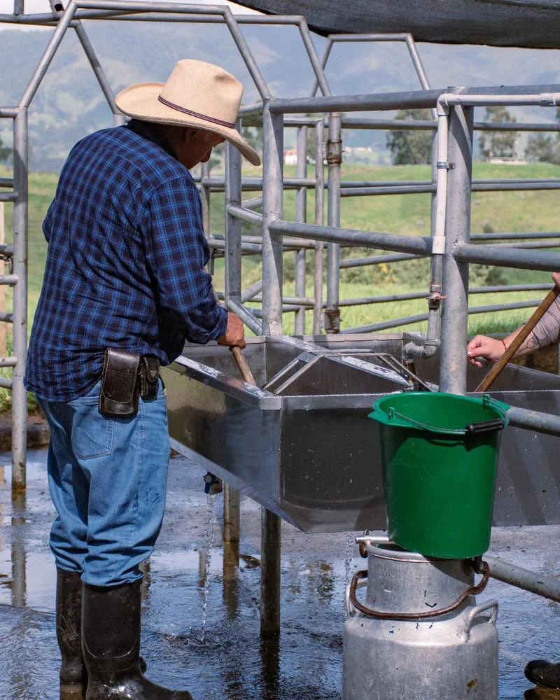 Seguimiento técnico en finca — Vetresa