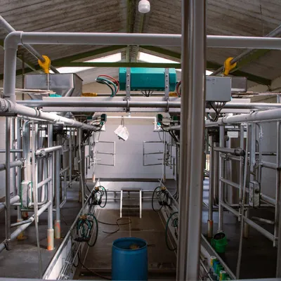 Sala de ordeño — producción lechera