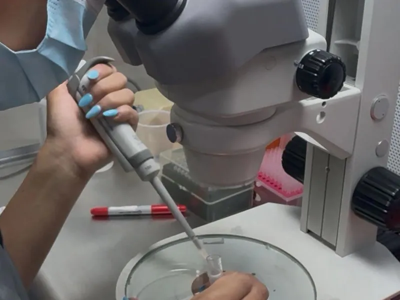 Fertilización in vitro (FIV)
