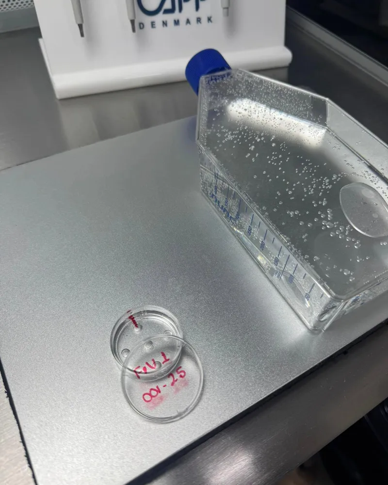 Materiales de laboratorio para producción de embriones — Vetresa