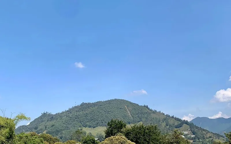 Hato Jersey en paisaje de montaña colombiana