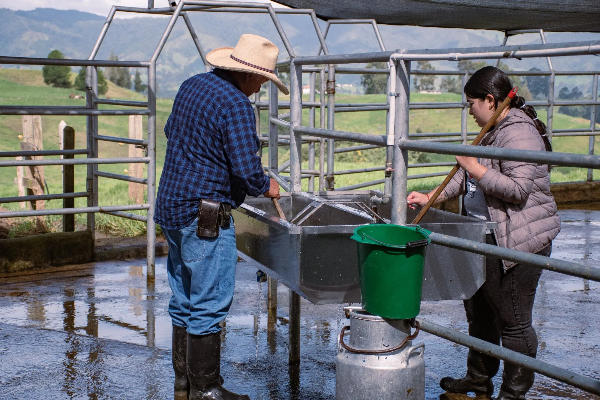 Asistencia técnica de Vetresa en finca