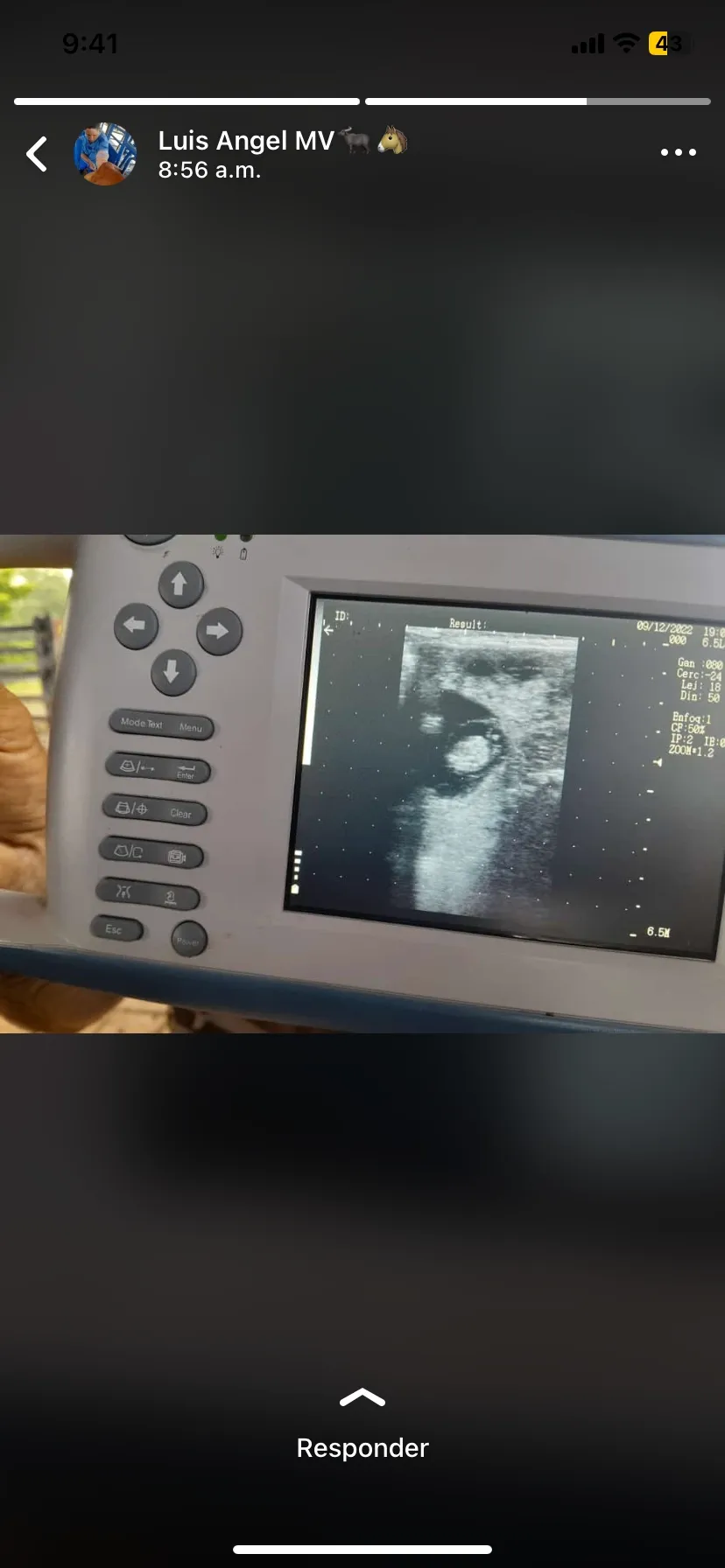 Ecografía reproductiva bovina