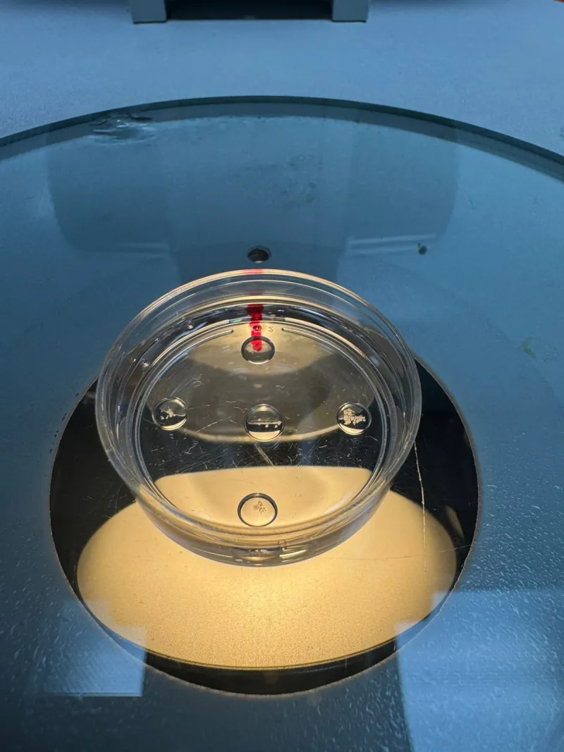 Material de laboratorio para biotecnología reproductiva bovina