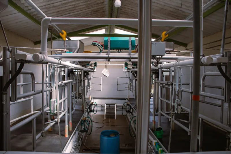 Gestión de información con Software Ganadero