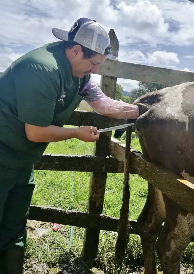 Transferencia de embriones en campo — equipo Vetresa