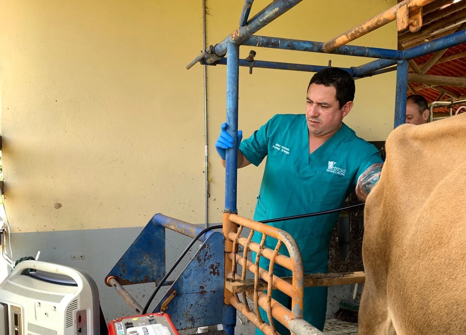 Transferencia de embriones — Vetresa