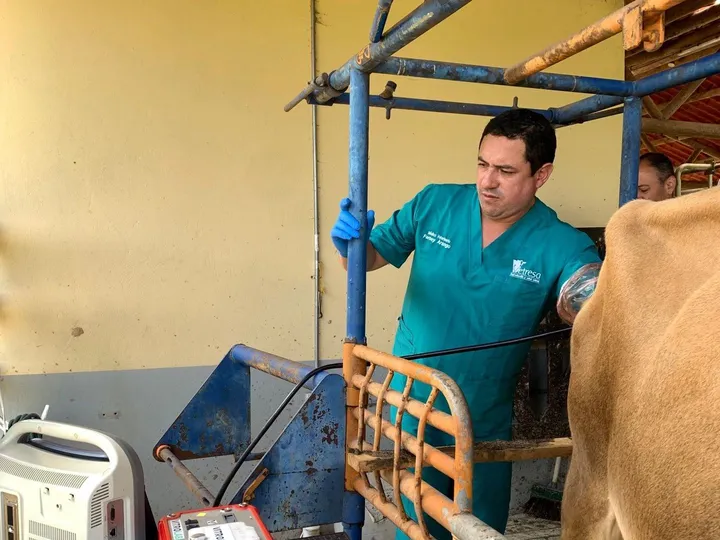 Transferencia de embriones — Vetresa