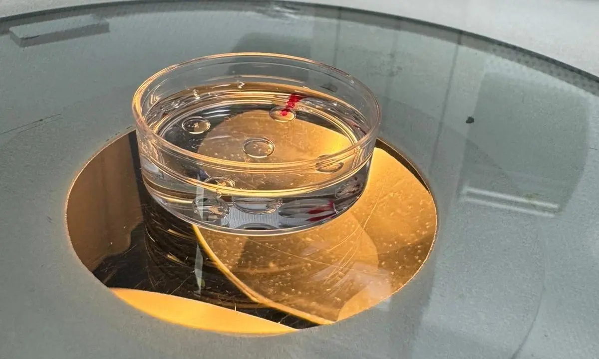 Laboratorio de Fertilización In Vitro (FIV)